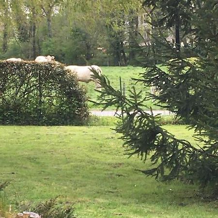 Cottage De Charme A La Campagne Aulnoy Eksteriør bilde
