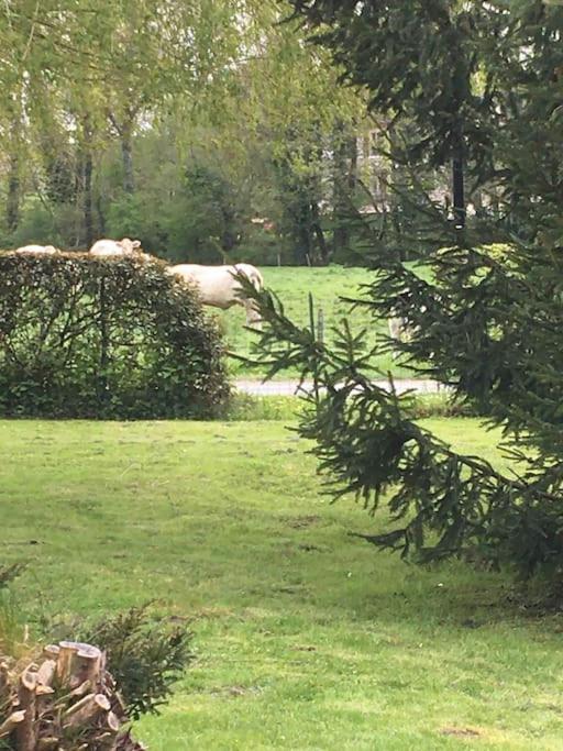 Cottage De Charme A La Campagne Aulnoy Eksteriør bilde