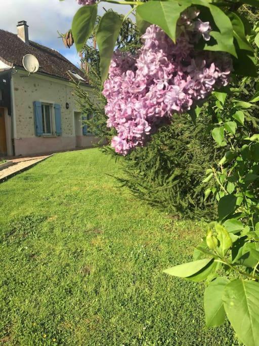 Cottage De Charme A La Campagne Aulnoy Eksteriør bilde