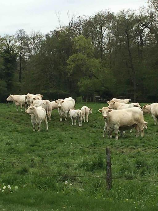Cottage De Charme A La Campagne Aulnoy Eksteriør bilde